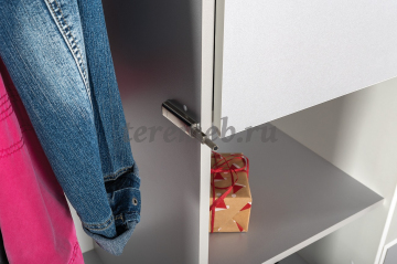 Шкаф для одежды Торонто 13.333, цена 17150 руб. - фото товара, ракурс 2