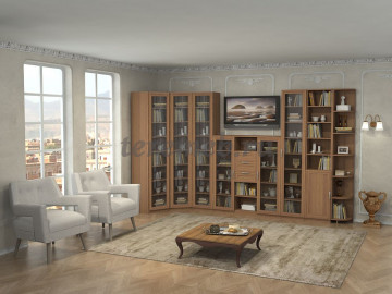 Библиотека Феникс ШК-1/6, цена 9200 руб. - фото товара, ракурс 2