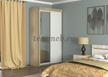 Шкаф-купе ШК-18 Феникс с зеркалом - фото товара, ракурс 1