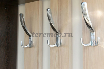 Прихожая-купе Лайт (венге/ясень шимо светлый), Производитель: Бител, Страна: Россия