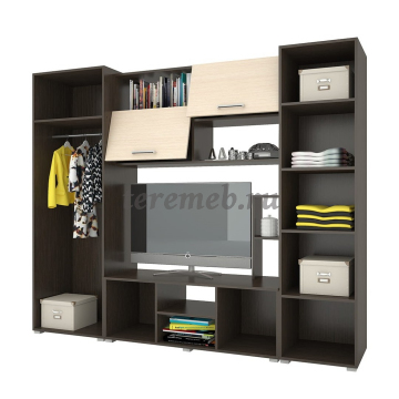 Стенка Флора-2, цена 21850 руб. - фото товара, ракурс 2