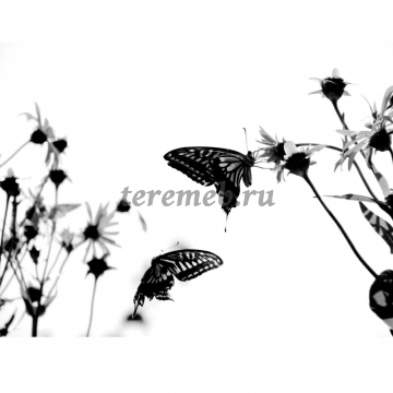 Стол журнальный ЧАЙНЫЙ А2 (бабочки), Производитель: Бител, Страна: Россия